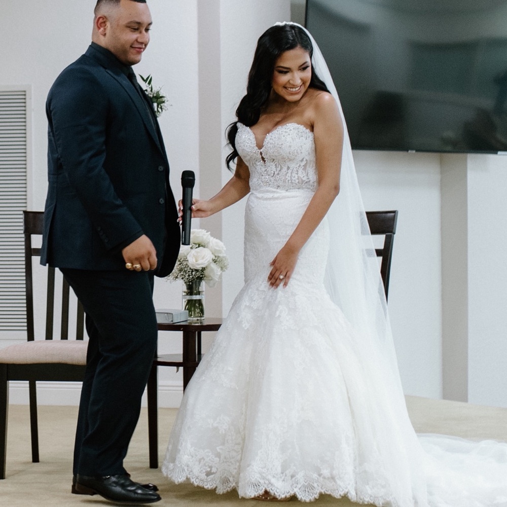 Pronovias Imelda Wedding Gown